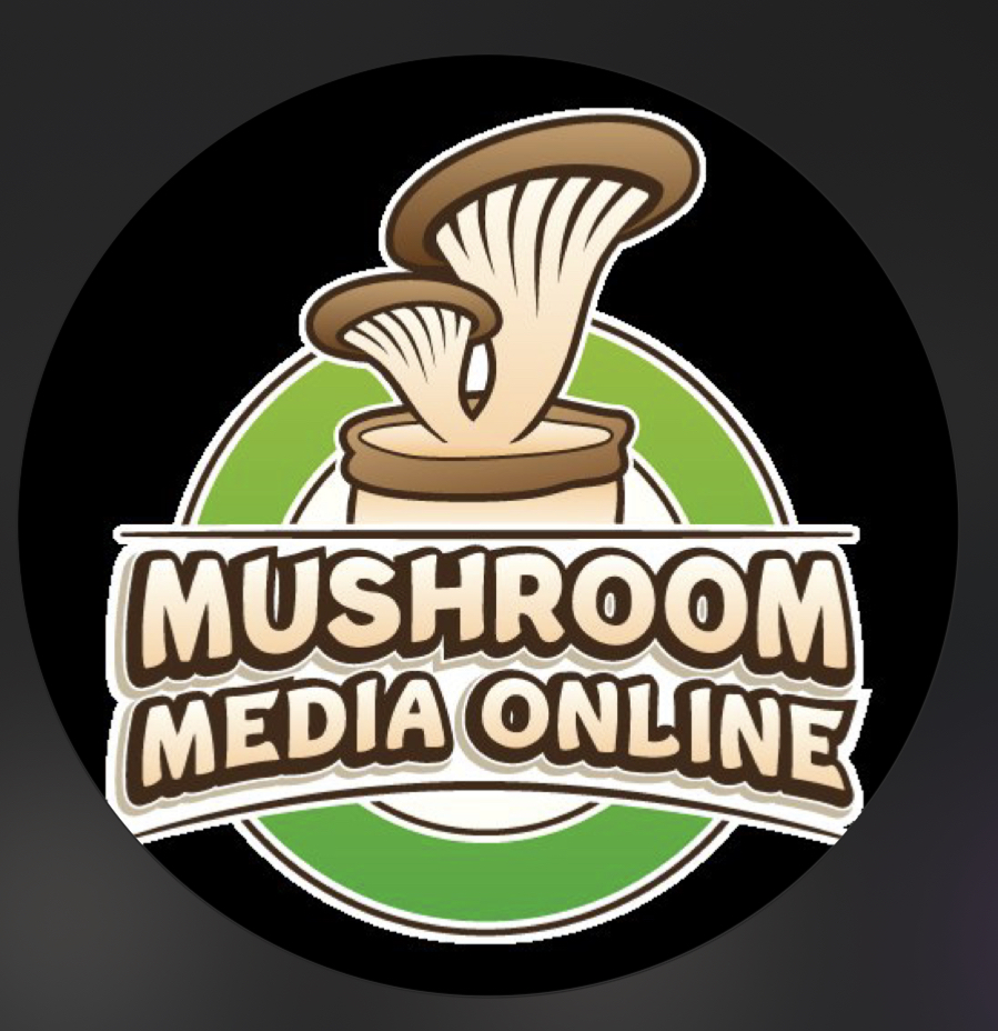 Photo of Mushroom Media Online