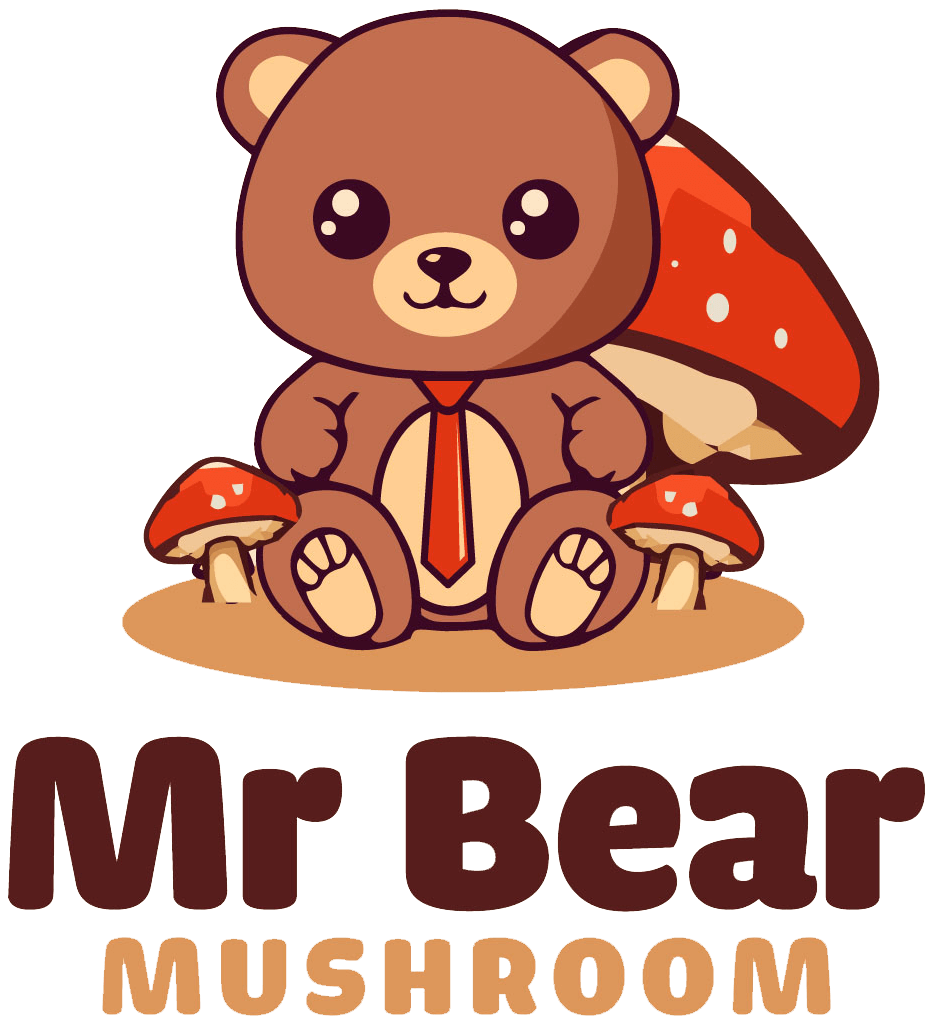 Photo of Mr Bear Mushroom